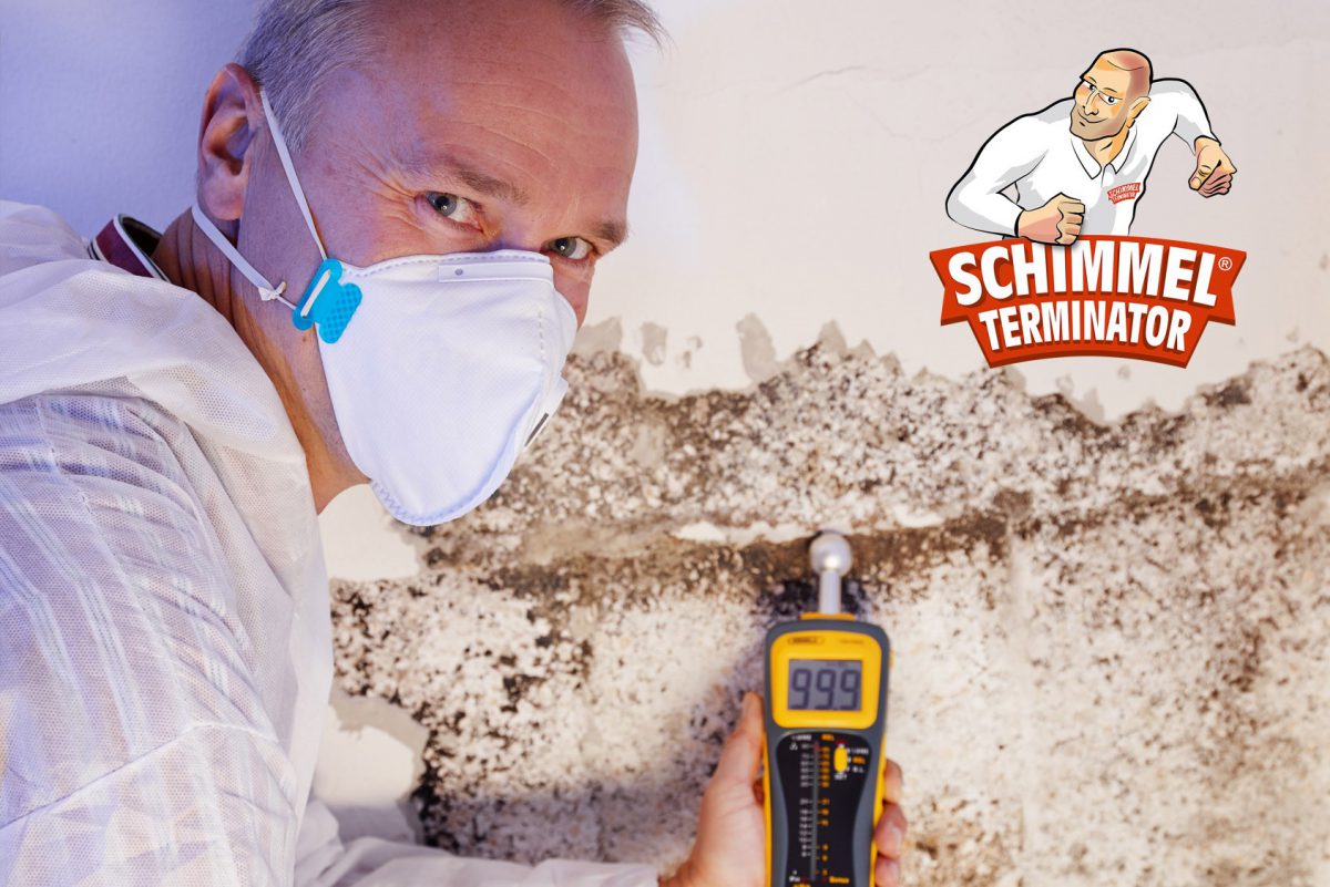 Richtiges Lüften zur Bekämpfung und Vermeidung von Schimmel ...